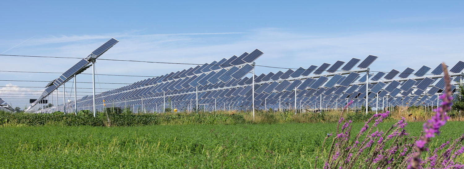 Agrivoltaics solar system setup on a farm