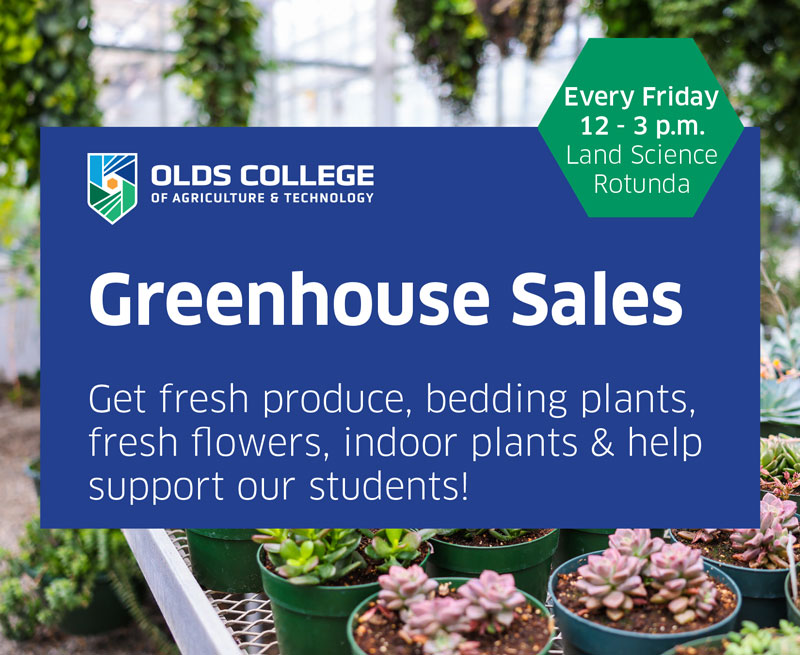 Greenhouse Sale 
