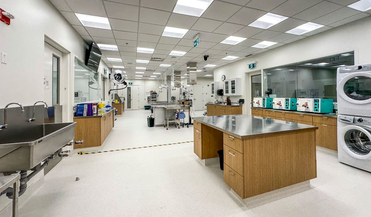 Olds College Unveils the Newly Renovated Animal Health Education Centre: A New Era in Animal Health Learning